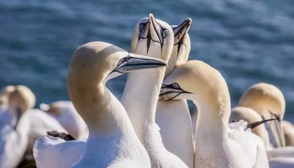 结束中国行!莱昂纳德现身机场 将飞回美国与快船队会合