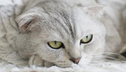 结束中国行!莱昂纳德现身机场 将飞回美国与快船队会合