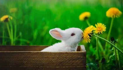 结束中国行！莱昂纳德现身机场 将飞回美国与快船队会合